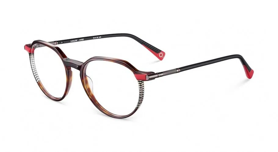 Etnia Barcelona LUDLOW Eyeglasses - view 8